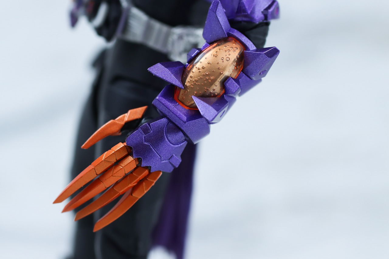 S.H.フィギュアーツ　仮面ライダーバッファ ゾンビフォーム　レビュー　本体