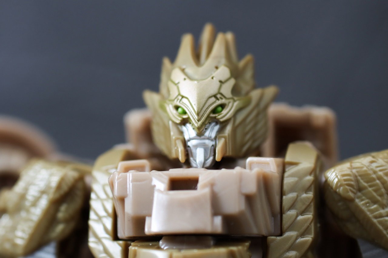 トランスフォーマーBD-03 エアレイザー（ビースト覚醒）　レビュー　本体