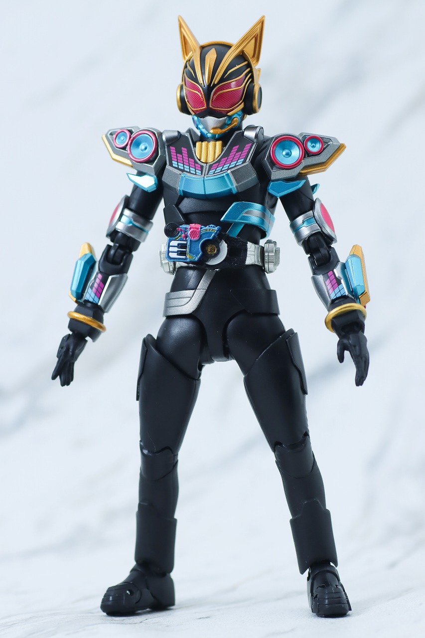 S.H.フィギュアーツ　仮面ライダーナーゴ　ビートフォーム　レビュー　本体