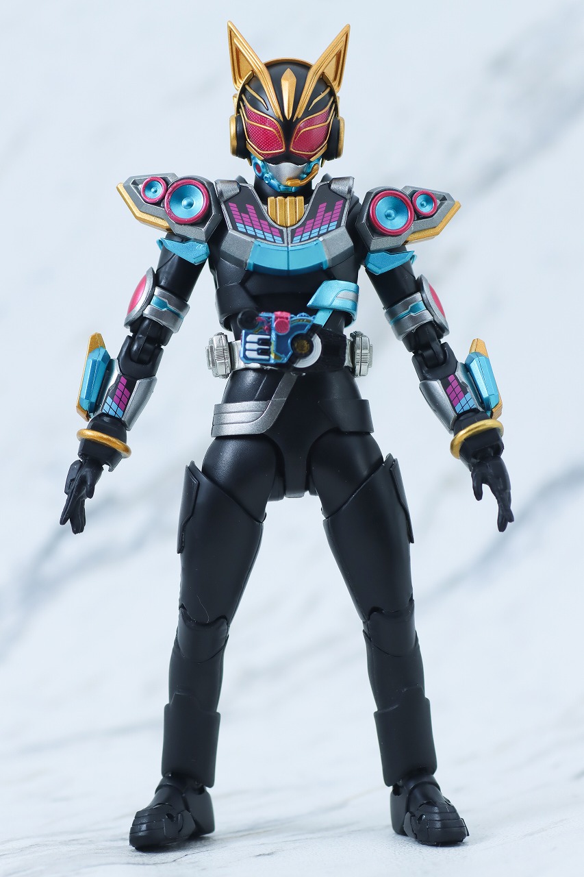 S.H.フィギュアーツ　仮面ライダーナーゴ　ビートフォーム　レビュー　本体