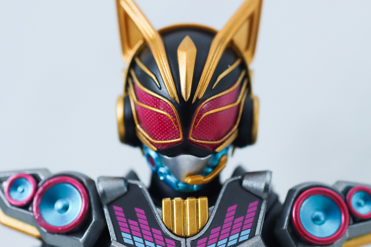 S.H.フィギュアーツ　仮面ライダーナーゴ　ビートフォーム　レビュー　本体