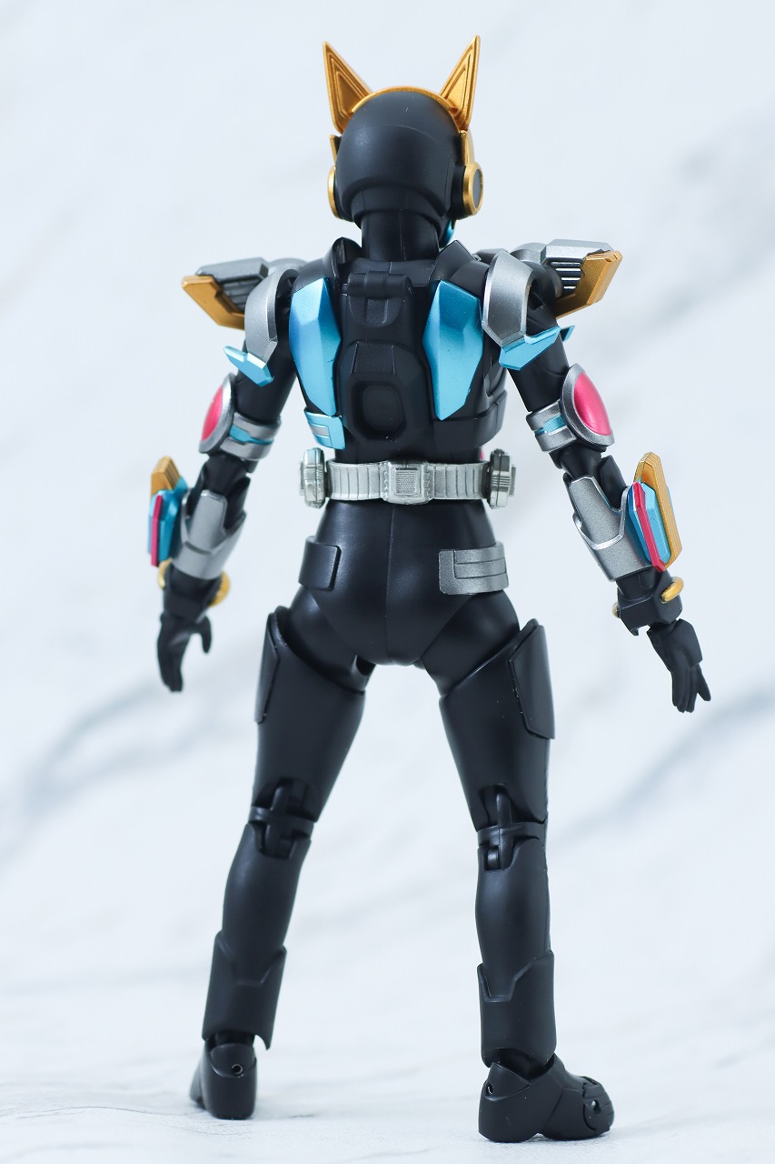 S.H.フィギュアーツ　仮面ライダーナーゴ　ビートフォーム　レビュー　本体