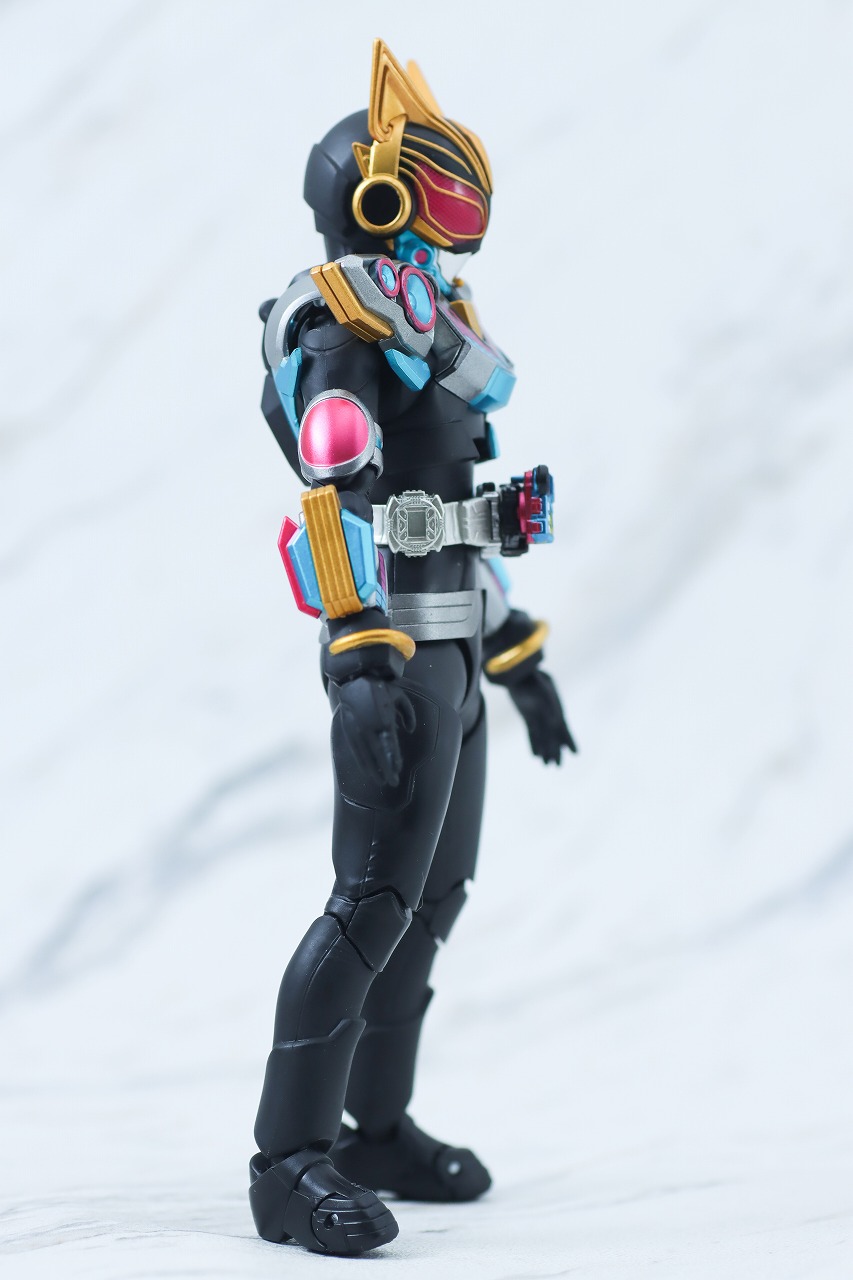 S.H.フィギュアーツ　仮面ライダーナーゴ　ビートフォーム　レビュー　本体