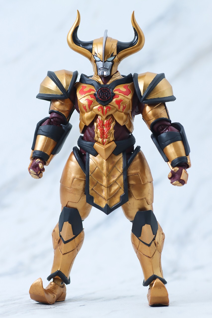 S.H.フィギュアーツ　アブソリュートディアボロ　レビュー　本体