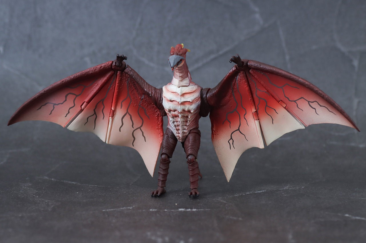 S.H.モンスターアーツ　ファイヤーラドン　幕張決戦Ver.　レビュー　本体