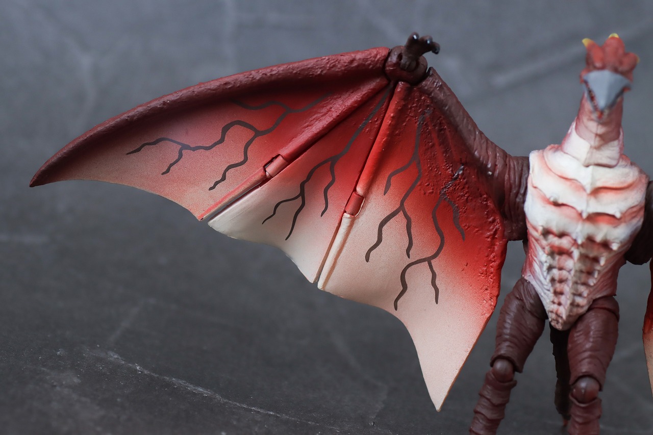 S.H.モンスターアーツ　ファイヤーラドン　幕張決戦Ver.　レビュー　本体