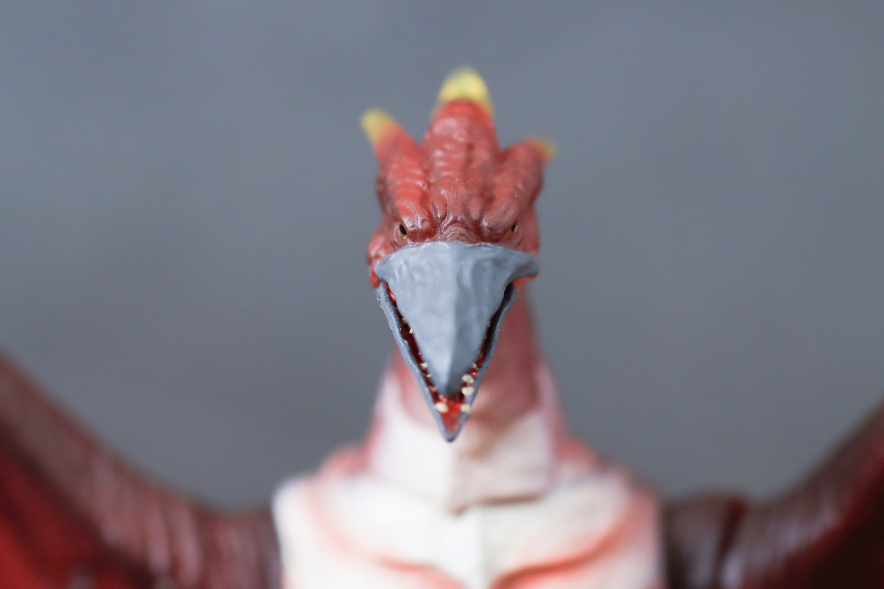 S.H.モンスターアーツ　ファイヤーラドン　幕張決戦Ver.　レビュー　本体