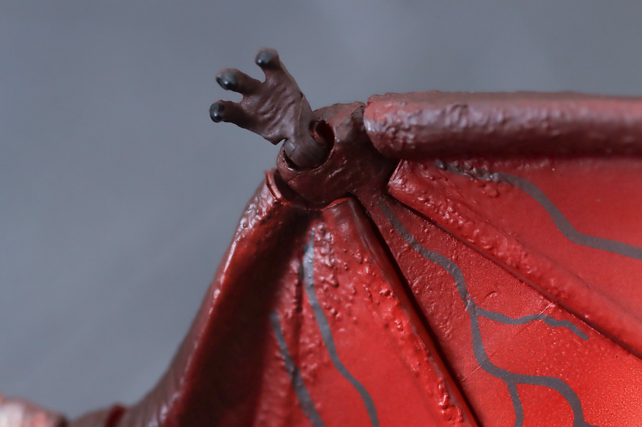 S.H.モンスターアーツ　ファイヤーラドン　幕張決戦Ver.　レビュー　本体