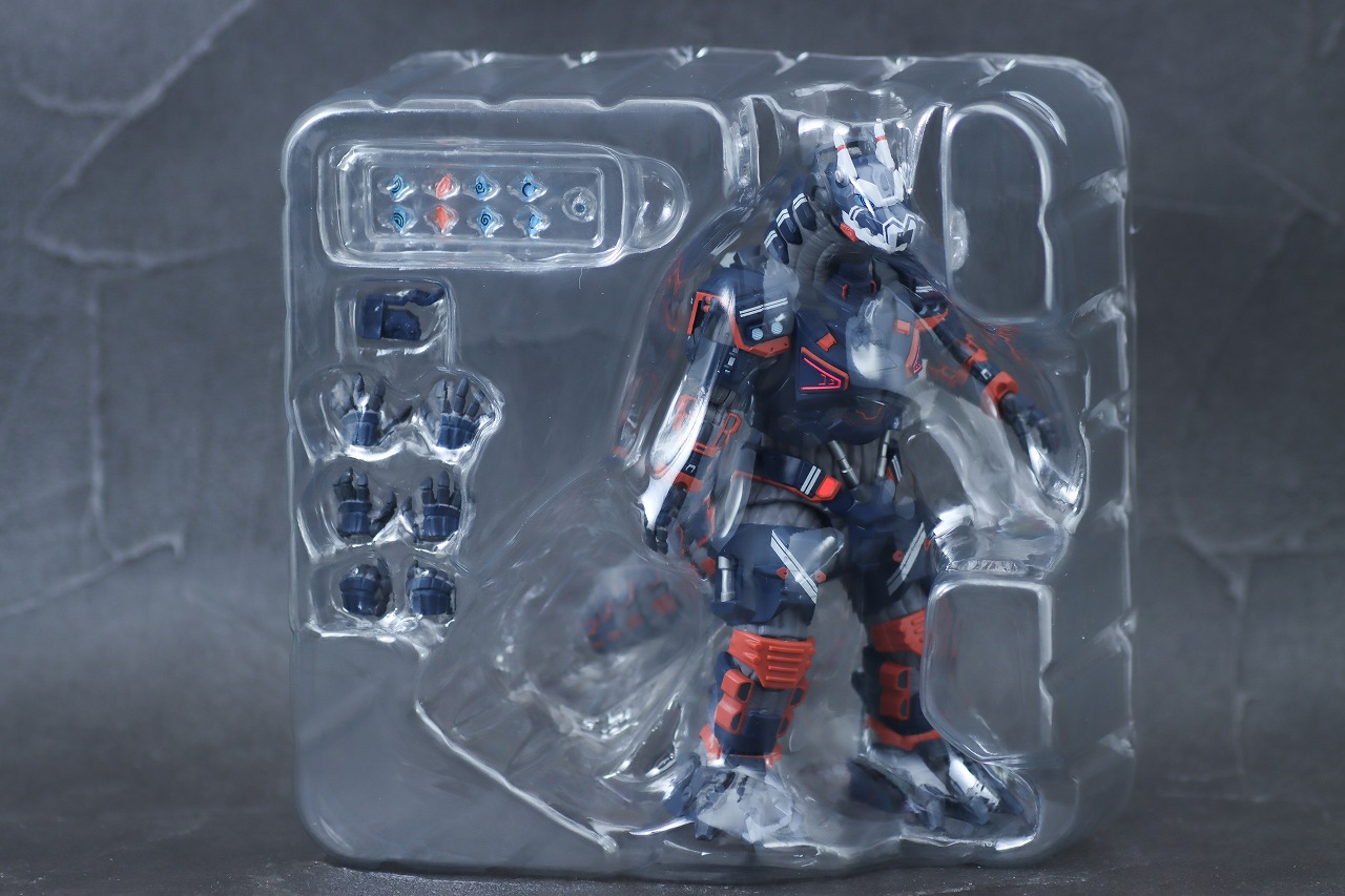 S.H.フィギュアーツ　アースガロン　レビュー　パッケージ