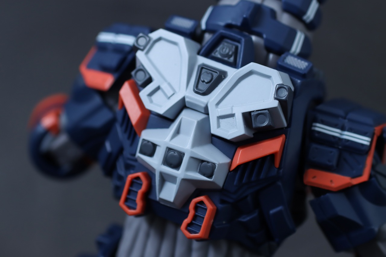 S.H.フィギュアーツ　アースガロン　レビュー　本体