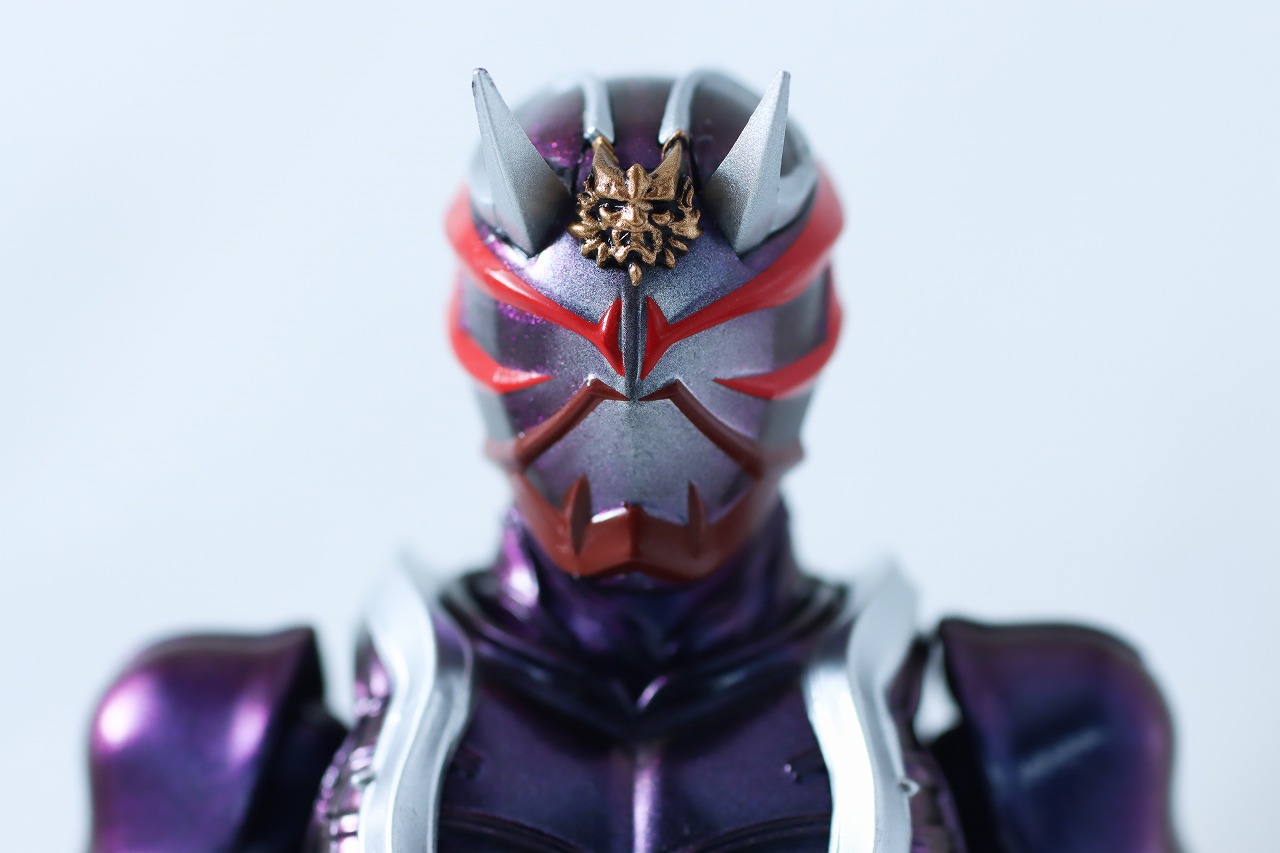 S.H.フィギュアーツ 真骨彫製法 仮面ライダー響鬼 真骨彫 10th Anniversary Ver. レビュー 本体