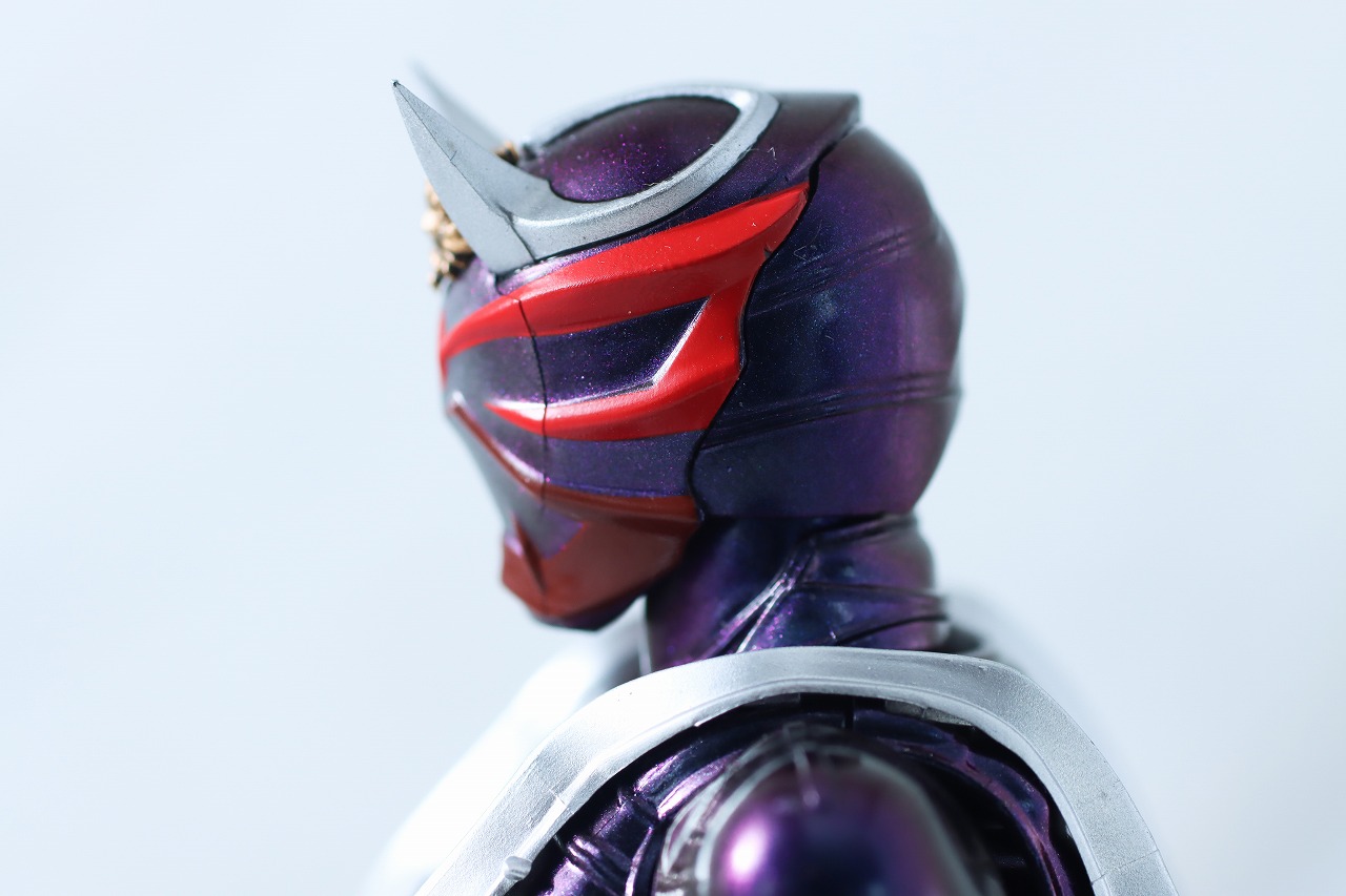 S.H.フィギュアーツ 真骨彫製法 仮面ライダー響鬼 真骨彫 10th Anniversary Ver. レビュー 本体