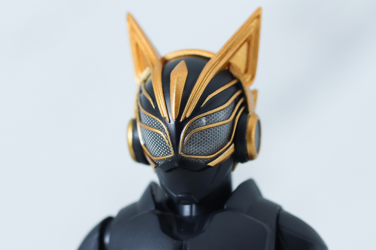 S.H.フィギュアーツ　仮面ライダーナーゴ エントリーレイズフォーム＆エントリーレイズセット　レビュー　本体