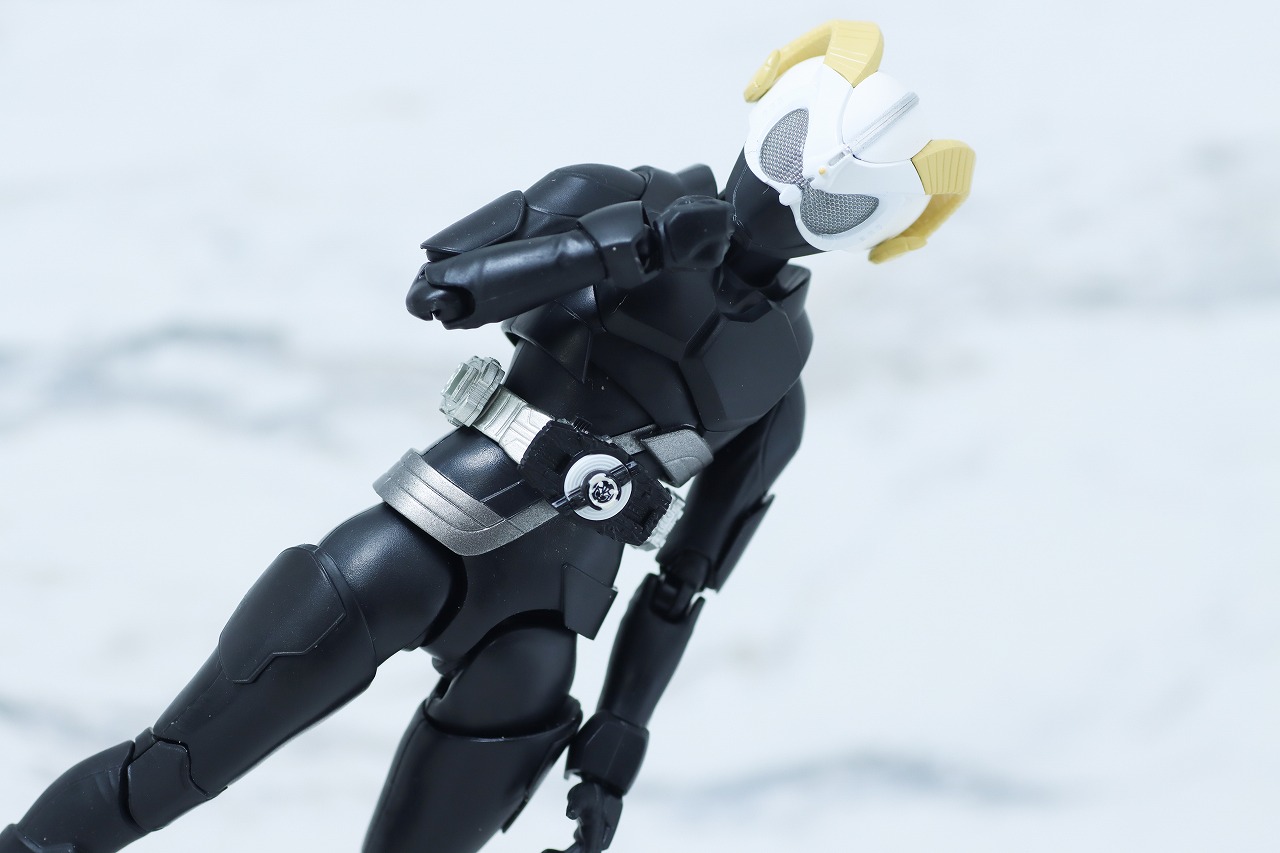 S.H.フィギュアーツ　仮面ライダーナーゴ エントリーレイズフォーム＆エントリーレイズセット　レビュー　アクション　仮面ライダーレター