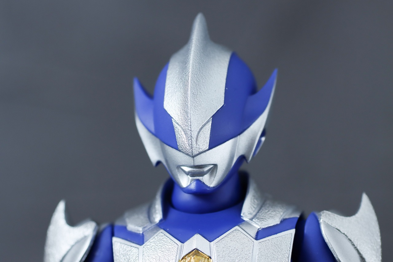 S.H.フィギュアーツ　ハンターナイトツルギ　レビュー　本体