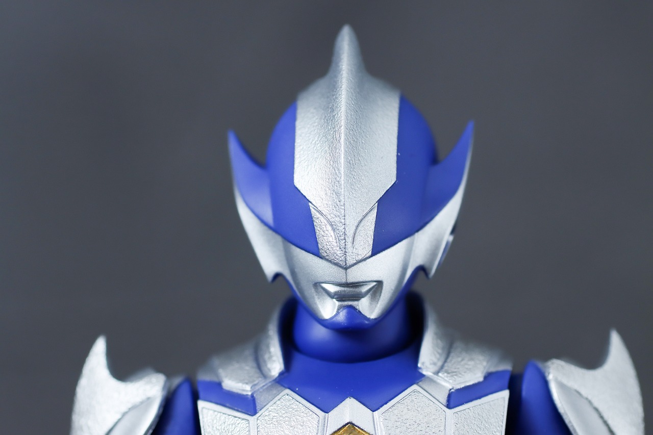 S.H.フィギュアーツ　ハンターナイトツルギ　レビュー　本体