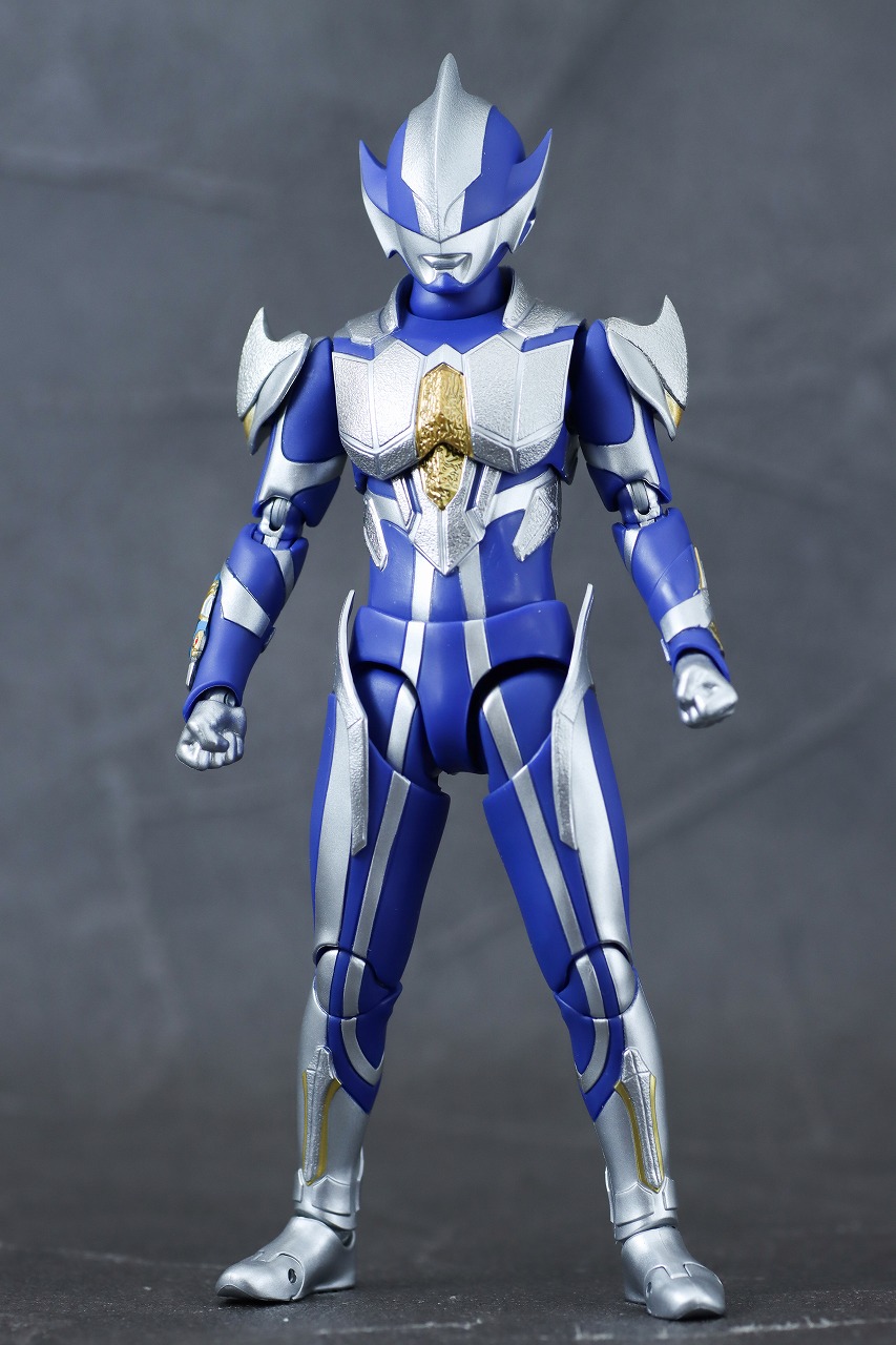 S.H.フィギュアーツ　ハンターナイトツルギ　レビュー　本体