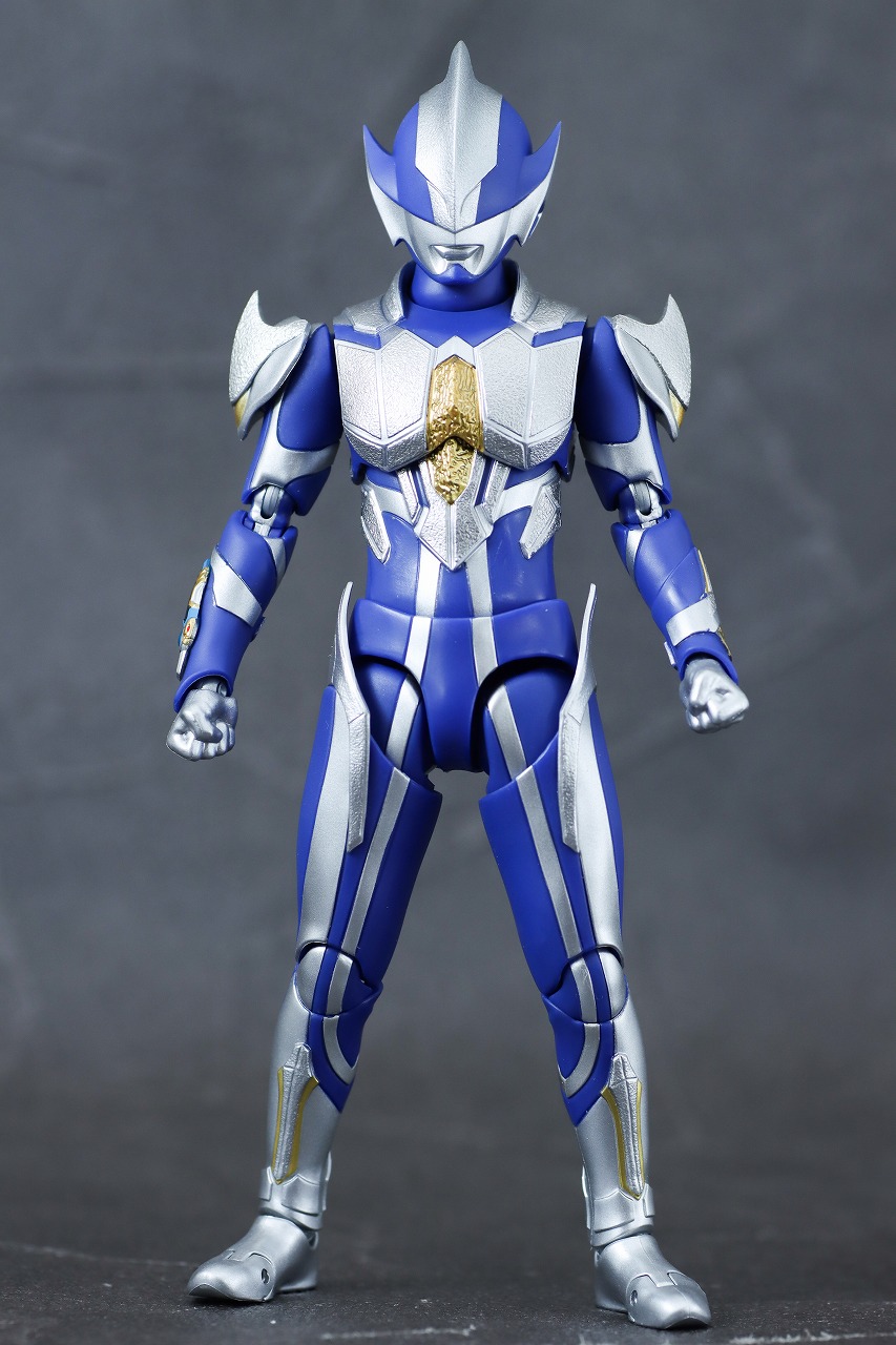 S.H.フィギュアーツ　ハンターナイトツルギ　レビュー　本体