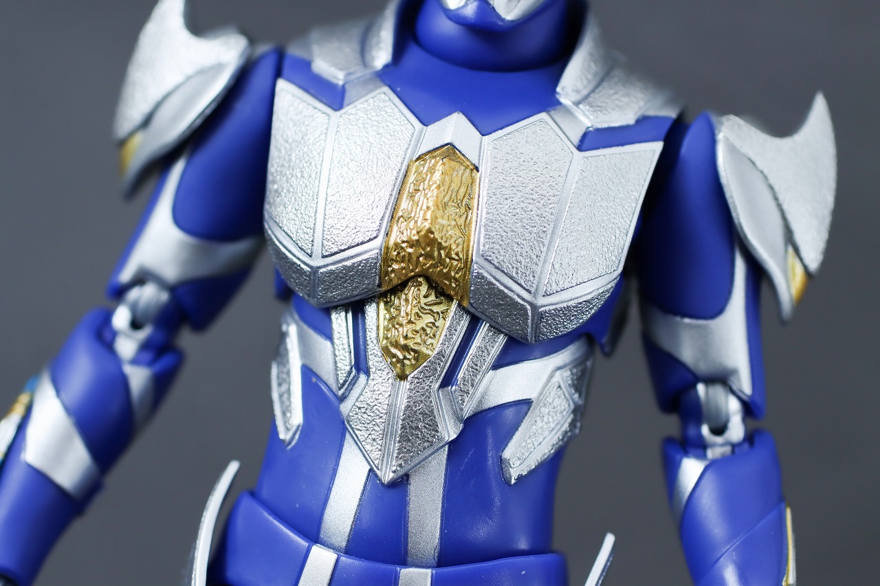 S.H.フィギュアーツ　ハンターナイトツルギ　レビュー　本体