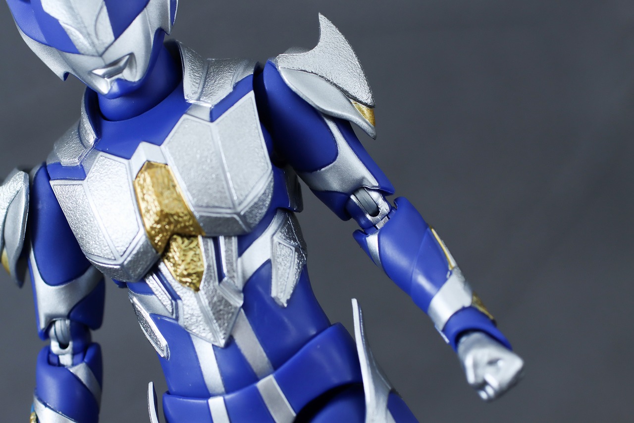 S.H.フィギュアーツ　ハンターナイトツルギ　レビュー　本体