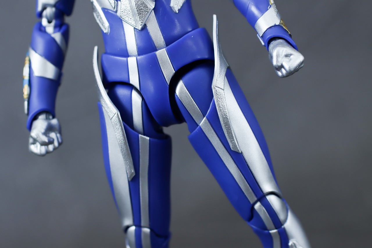 S.H.フィギュアーツ　ハンターナイトツルギ　レビュー　本体