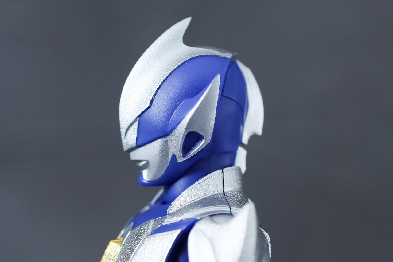 S.H.フィギュアーツ　ハンターナイトツルギ　レビュー　本体