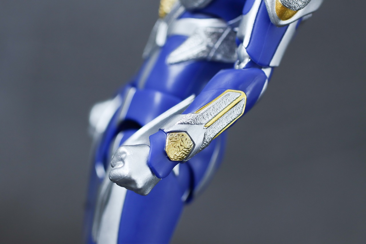 S.H.フィギュアーツ　ハンターナイトツルギ　レビュー　本体