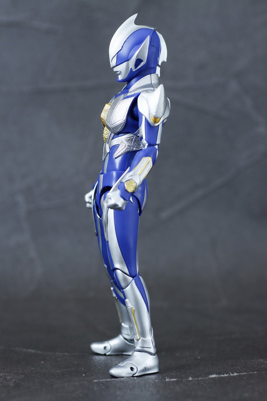 S.H.フィギュアーツ　ハンターナイトツルギ　レビュー　本体