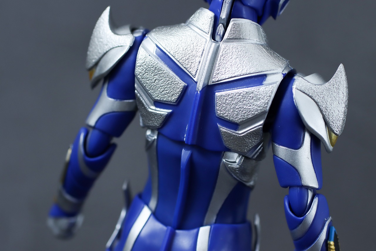 S.H.フィギュアーツ　ハンターナイトツルギ　レビュー　本体