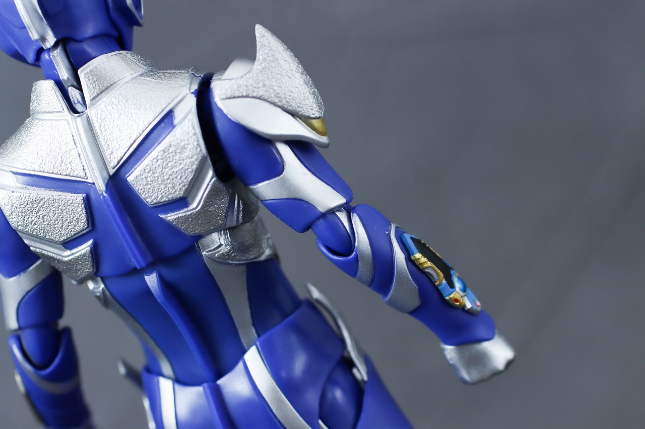 S.H.フィギュアーツ　ハンターナイトツルギ　レビュー　本体