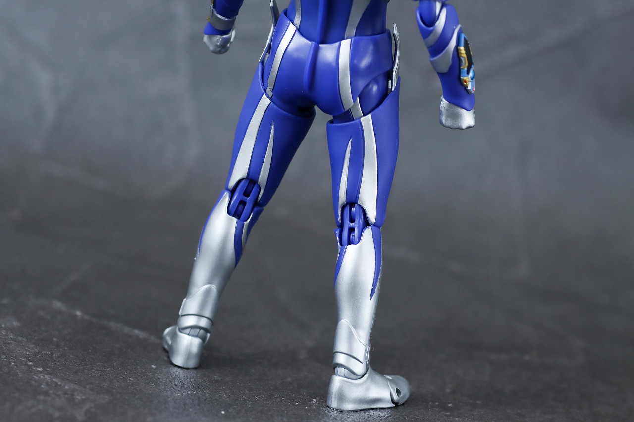 S.H.フィギュアーツ　ハンターナイトツルギ　レビュー　本体