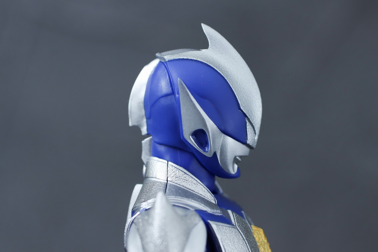 S.H.フィギュアーツ　ハンターナイトツルギ　レビュー　本体