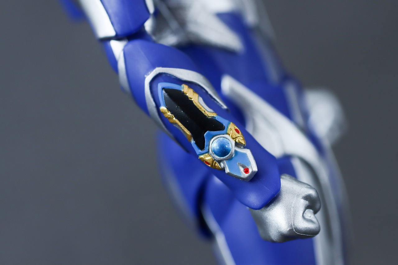 S.H.フィギュアーツ　ハンターナイトツルギ　レビュー　本体