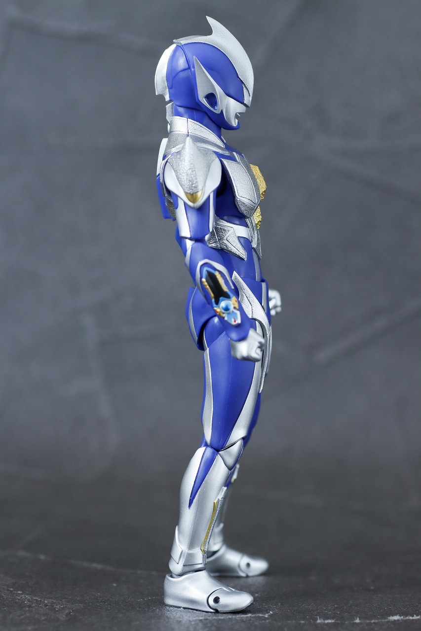 S.H.フィギュアーツ　ハンターナイトツルギ　レビュー　本体