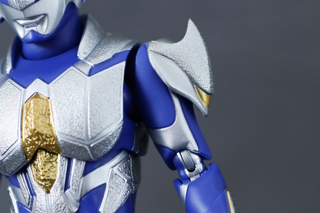 S.H.フィギュアーツ　ハンターナイトツルギ　レビュー　本体