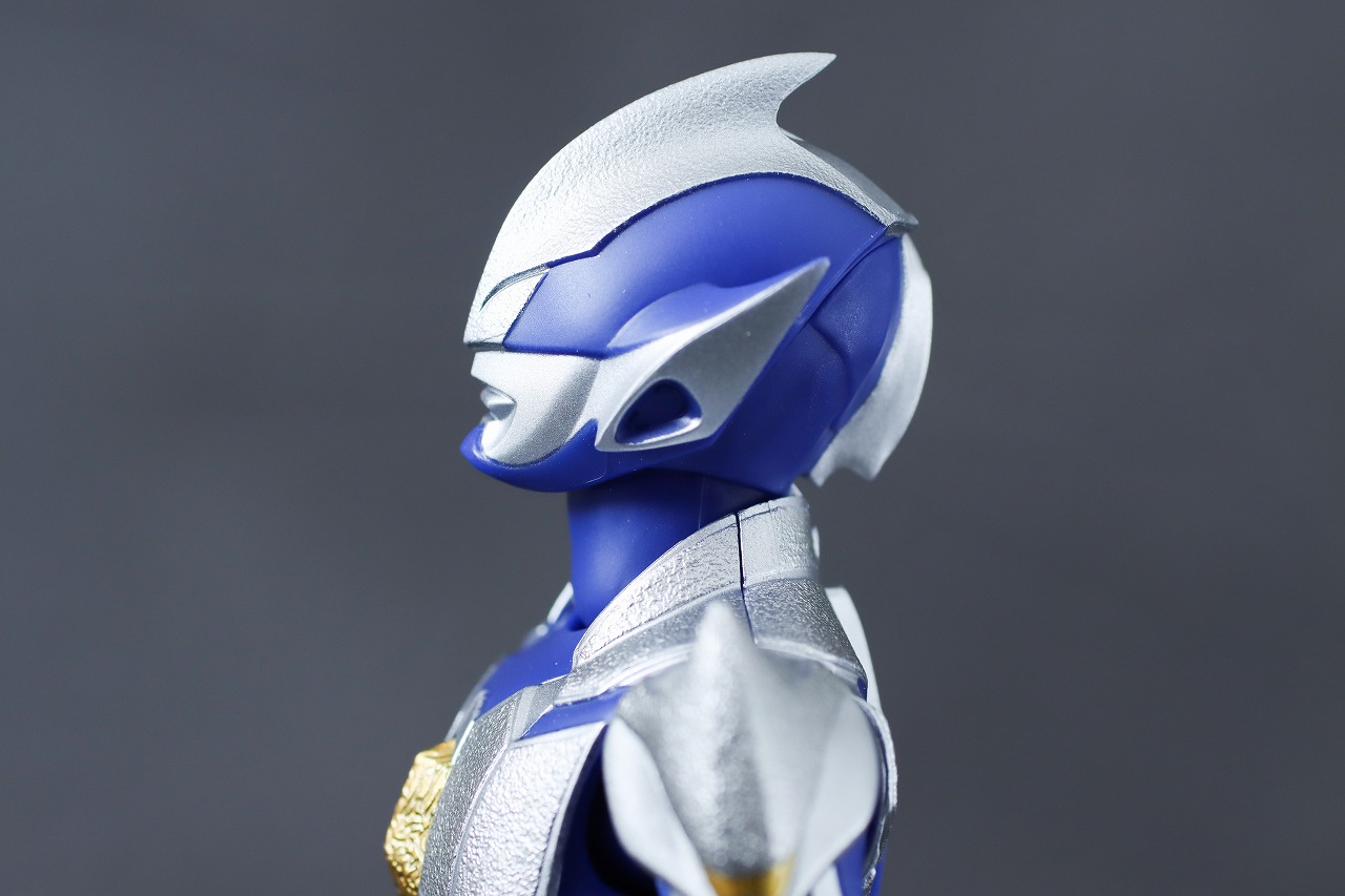 S.H.フィギュアーツ　ハンターナイトツルギ　レビュー　可動範囲