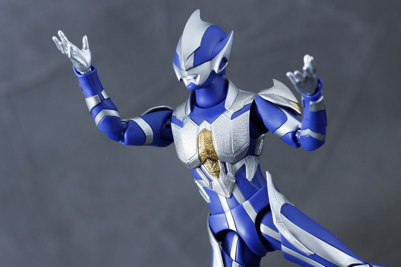 S.H.フィギュアーツ　ハンターナイトツルギ　レビュー　アクション