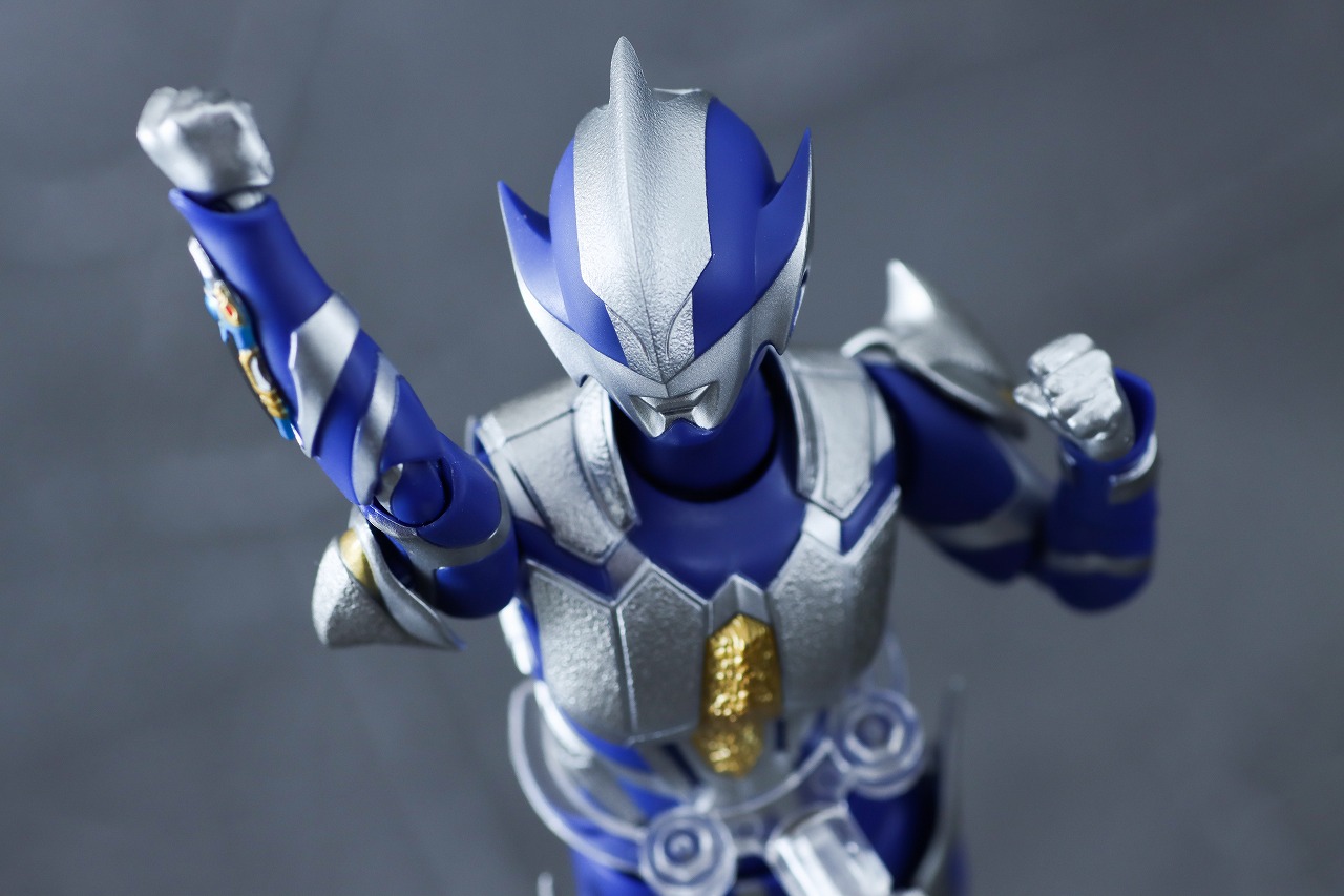 S.H.フィギュアーツ　ハンターナイトツルギ　レビュー　アクション