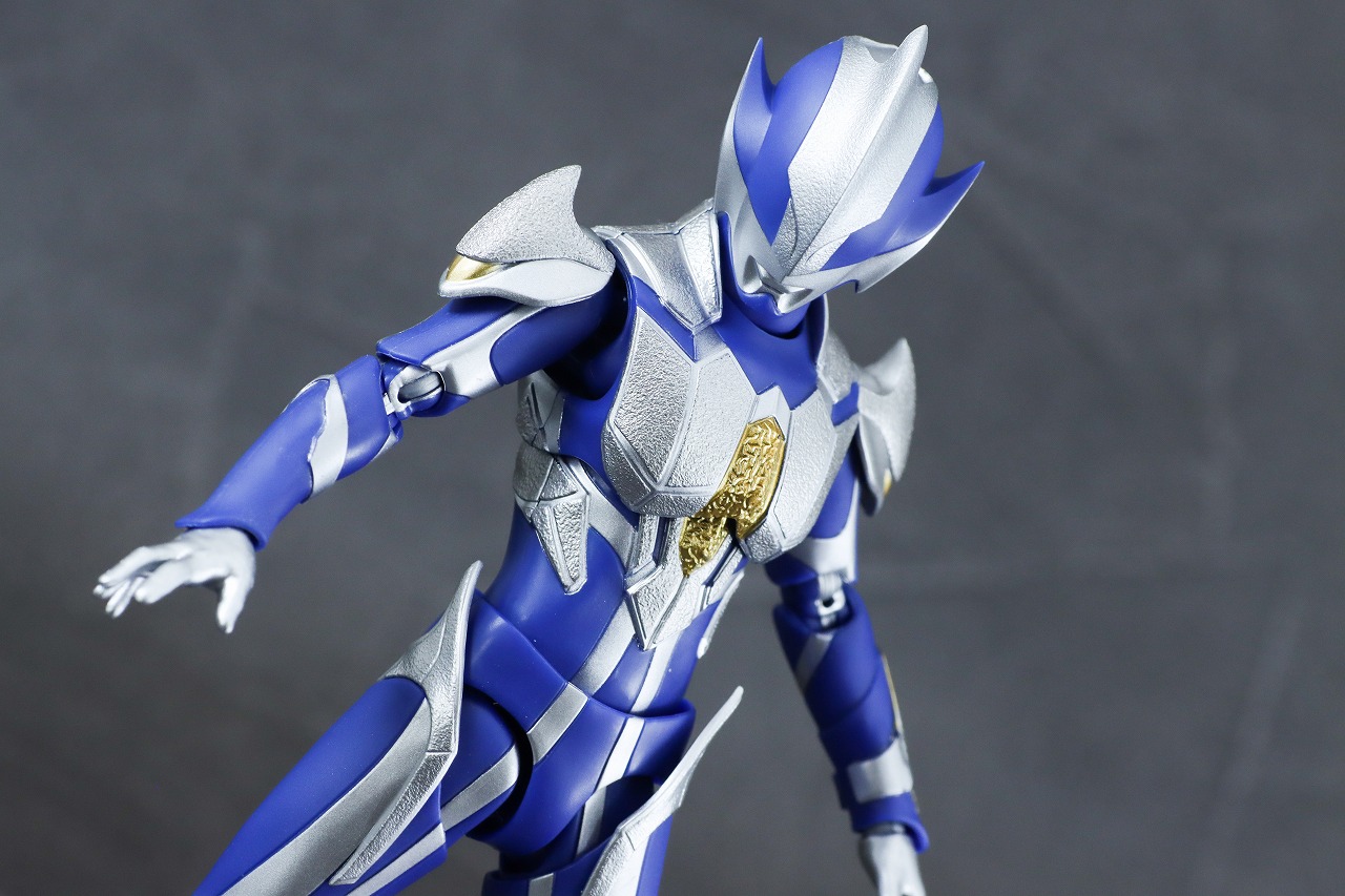 S.H.フィギュアーツ　ハンターナイトツルギ　レビュー　アクション