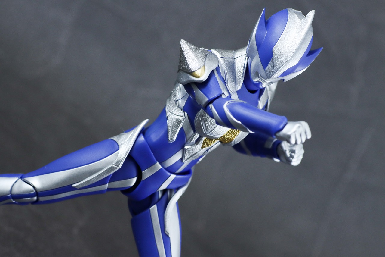 S.H.フィギュアーツ　ハンターナイトツルギ　レビュー　アクション