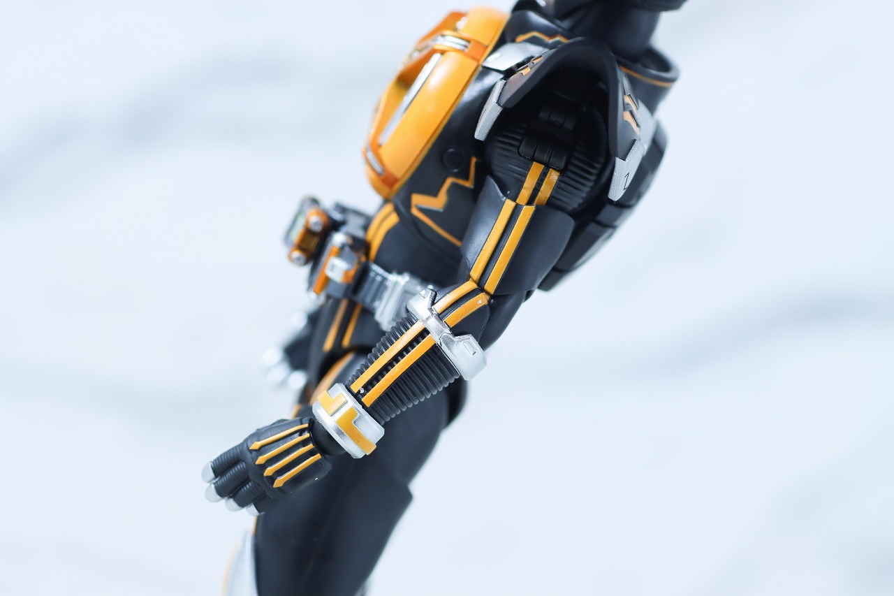 S.H.フィギュアーツ 真骨彫製法　仮面ライダーネクストカイザ　レビュー　本体