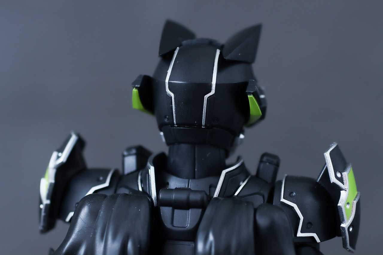 S.H.フィギュアーツ　仮面ライダータイクーン ブジンソード　レビュー　本体