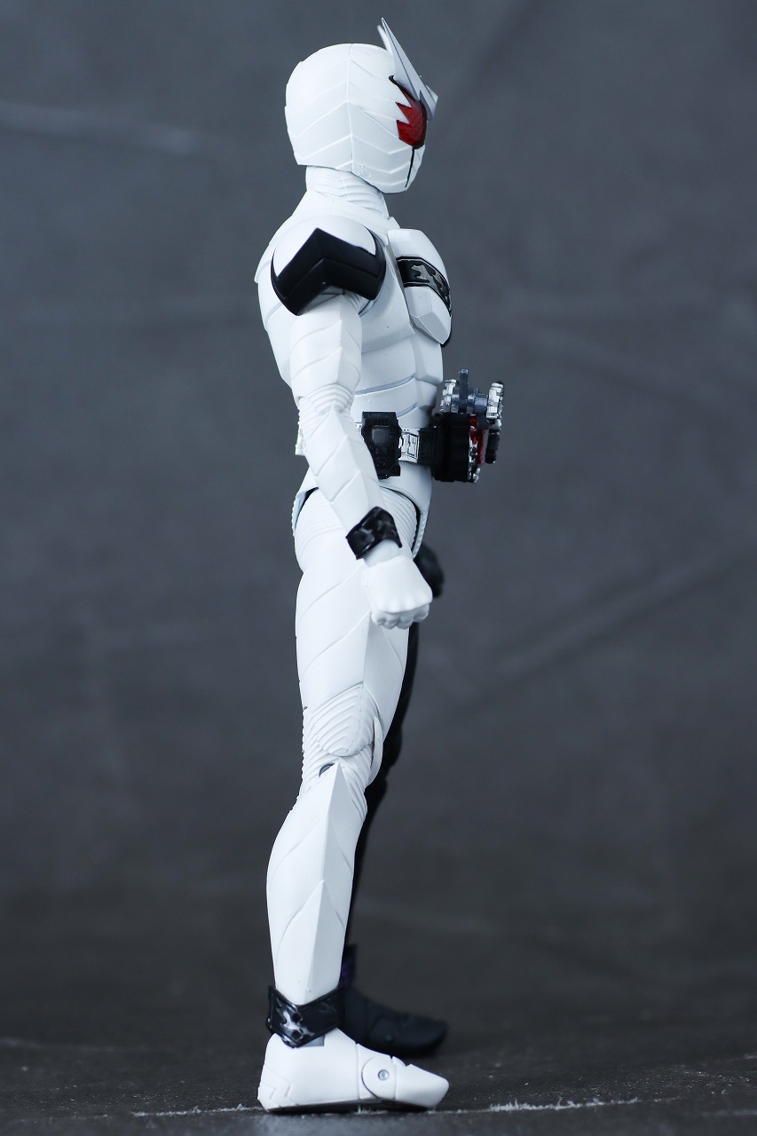 S.H.フィギュアーツ 真骨彫製法 仮面ライダーW ファングジョーカー(風都探偵アニメ化記念) レビュー 本体