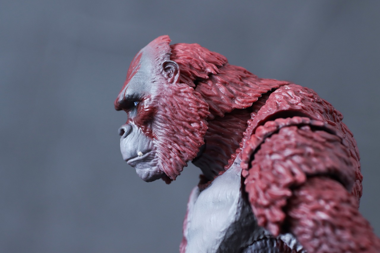 S.H.モンスターアーツ　スカーキング　レビュー　可動範囲