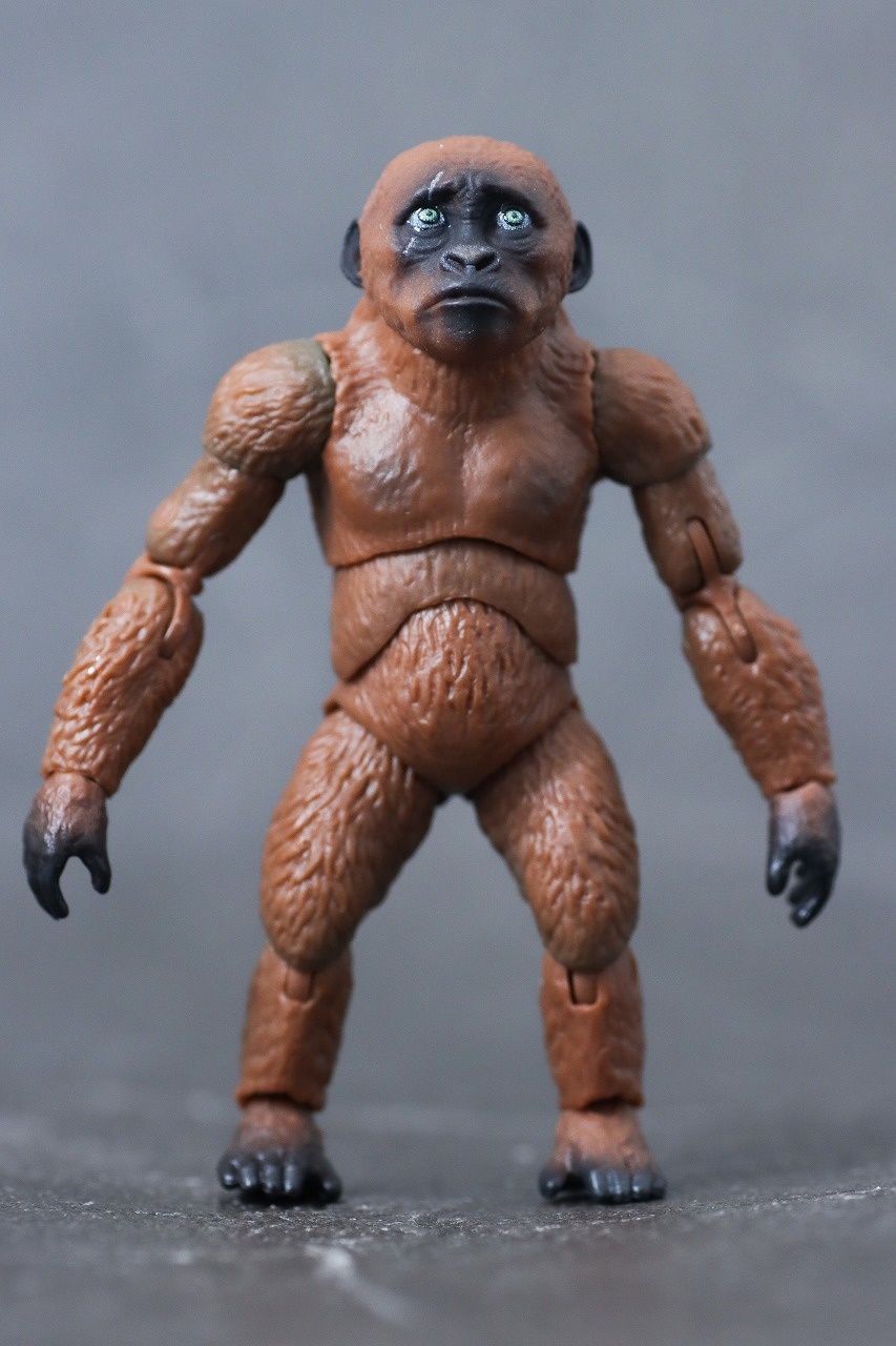 S.H.モンスターアーツ スーコ(ゴジラ×コング:新たなる帝国) レビュー 本体