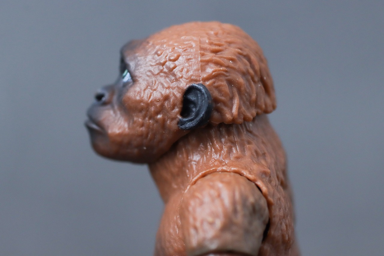 S.H.モンスターアーツ スーコ(ゴジラ×コング:新たなる帝国) レビュー 本体