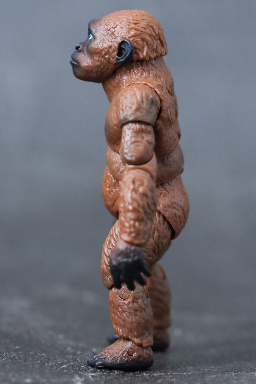 S.H.モンスターアーツ スーコ(ゴジラ×コング:新たなる帝国) レビュー 本体