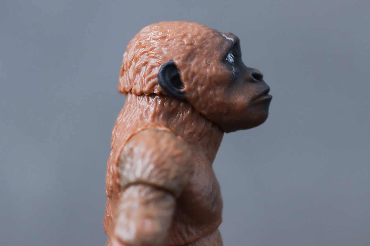 S.H.モンスターアーツ　スーコ（ゴジラ×コング：新たなる帝国）　レビュー　本体