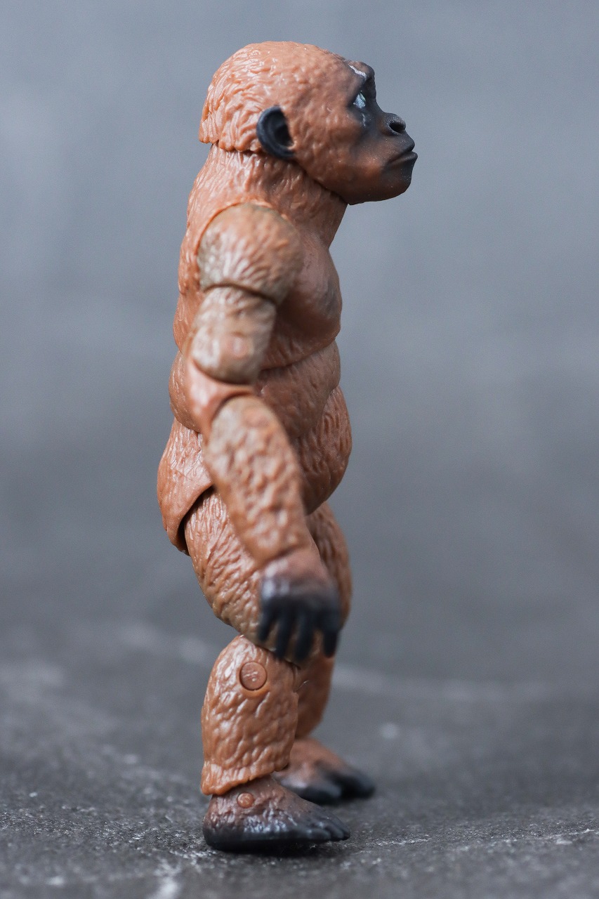 S.H.モンスターアーツ スーコ(ゴジラ×コング:新たなる帝国) レビュー 本体