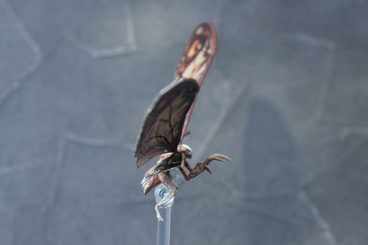 S.H.モンスターアーツ モスラ(ゴジラ×コング:新たなる帝国) レビュー 本体